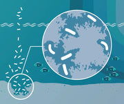 Biostim Pellets (10kg) and Half Price Powder (500g) Deal